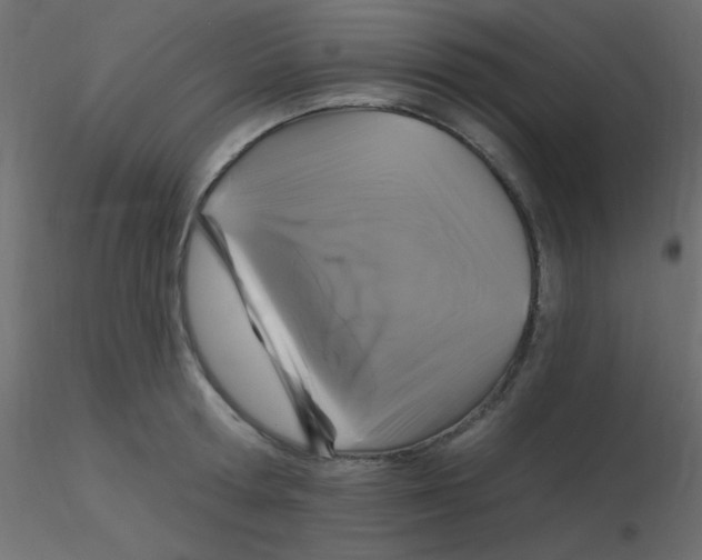 X0000116590802200912312035