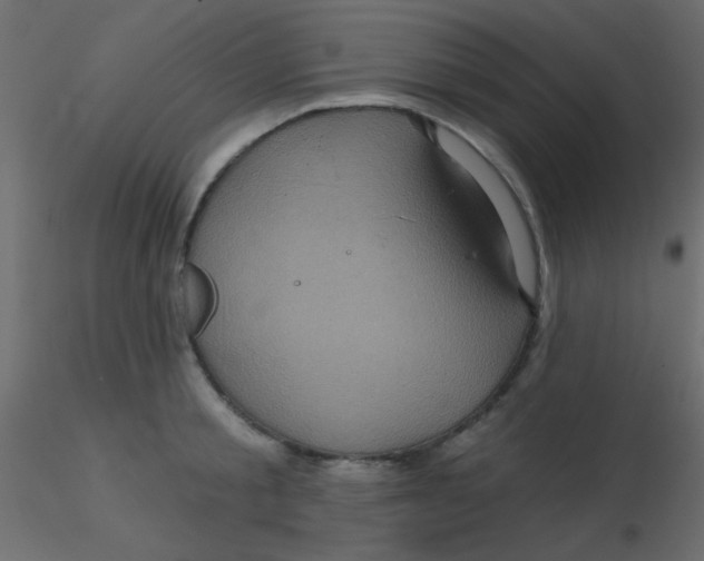 X0000116590805200912312035