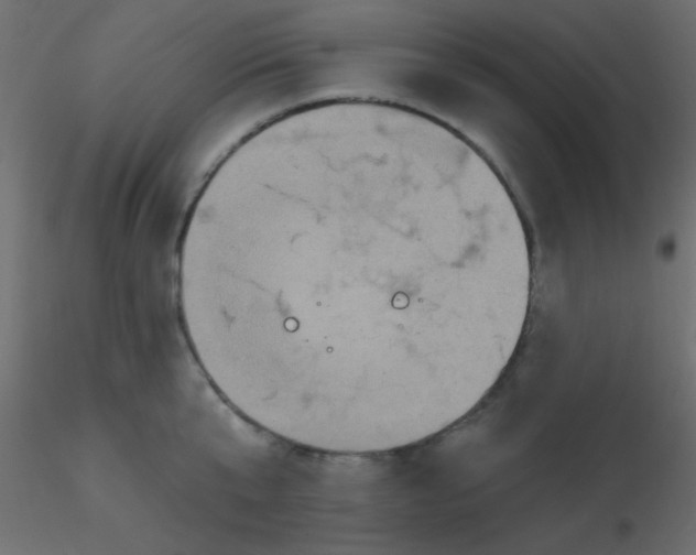 X0000116590807200912312035