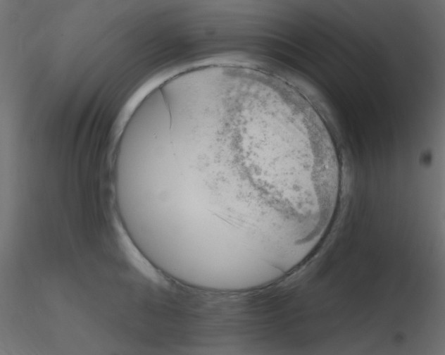 X0000116590808200912312035