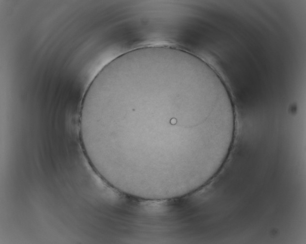 X0000116590810200912312035