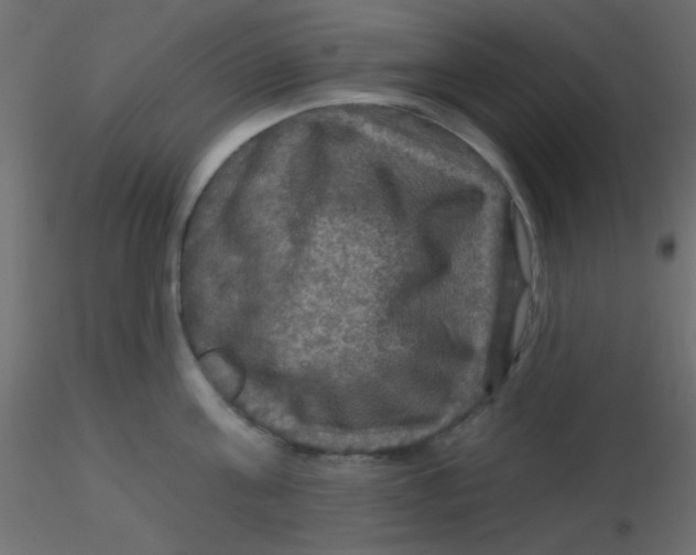 X0000116590811200912312035