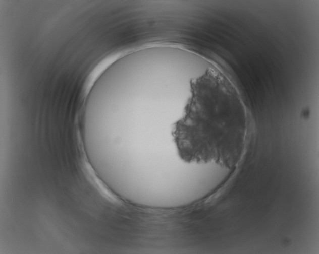 X0000116590812200912312035