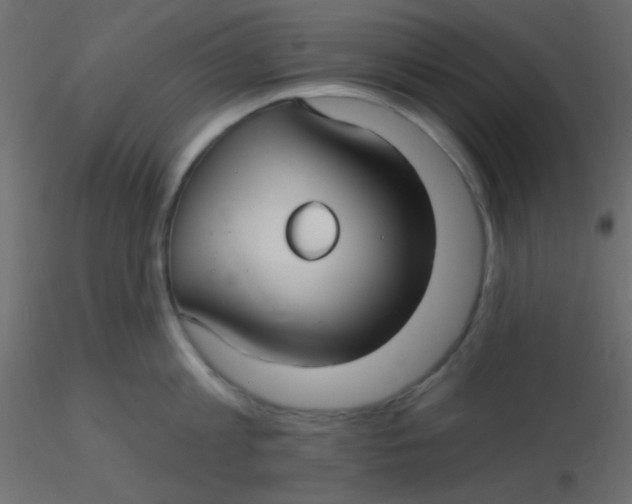 X0000116590813200912312035