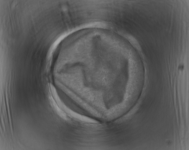 X0000116590816200912312035