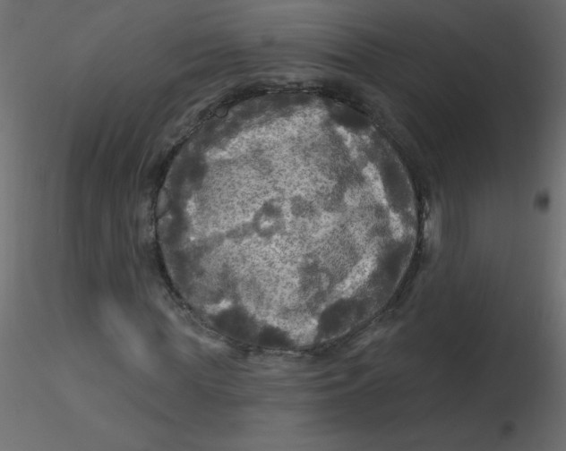 X0000116590819200912312034