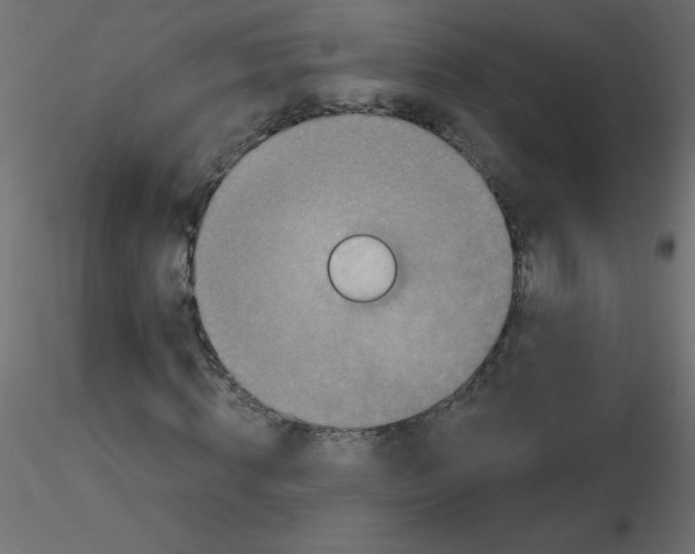 X0000116590820200912312034