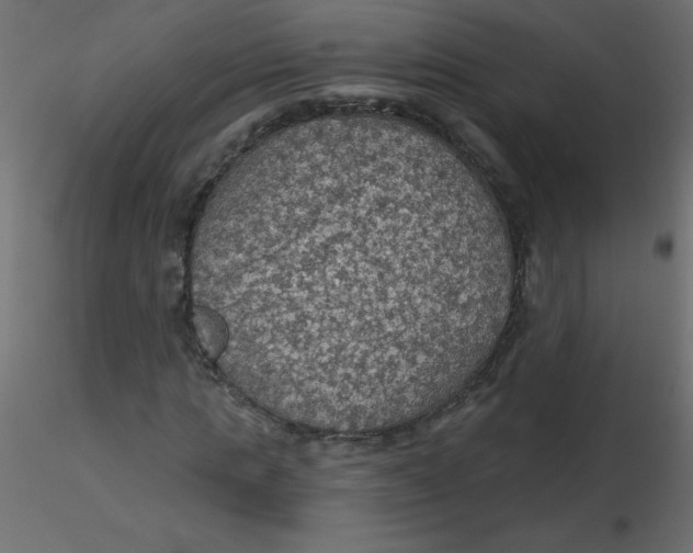 X0000116590821200912312034