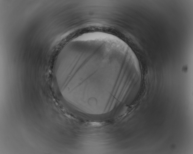 X0000116590822200912312034