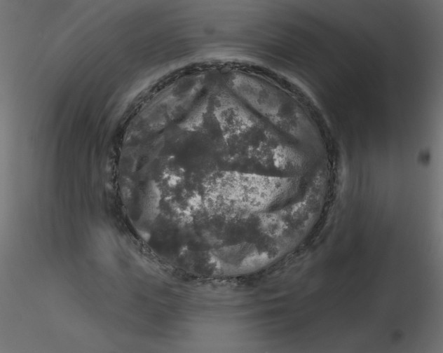 X0000116590823200912312034