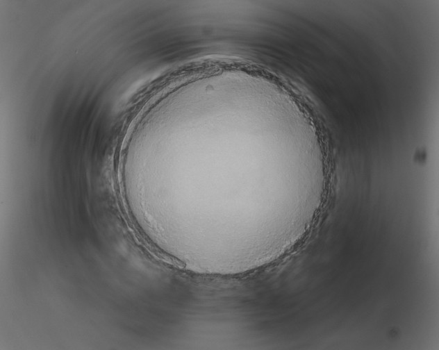 X0000116590824200912312034