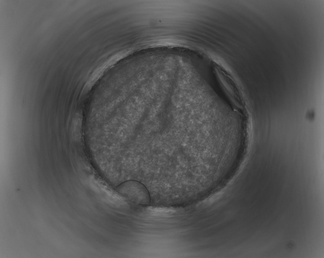 X0000116590825200912312034