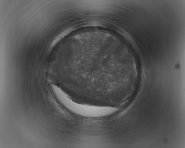 X0000116590826200912312034