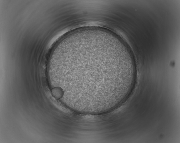 X0000116590827200912312034