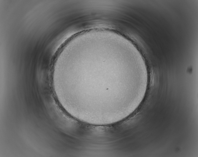 X0000116590828200912312034