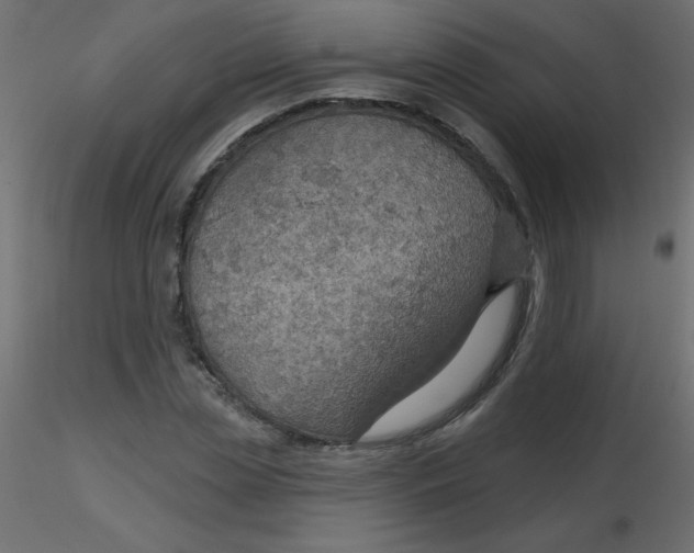 X0000116590829200912312034