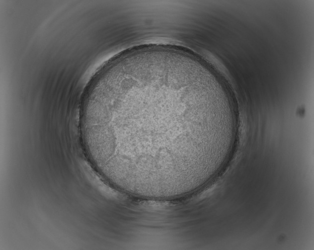 X0000116590831200912312034