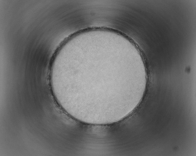 X0000116590832200912312034