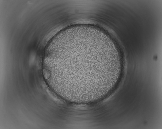 X0000116590833200912312034