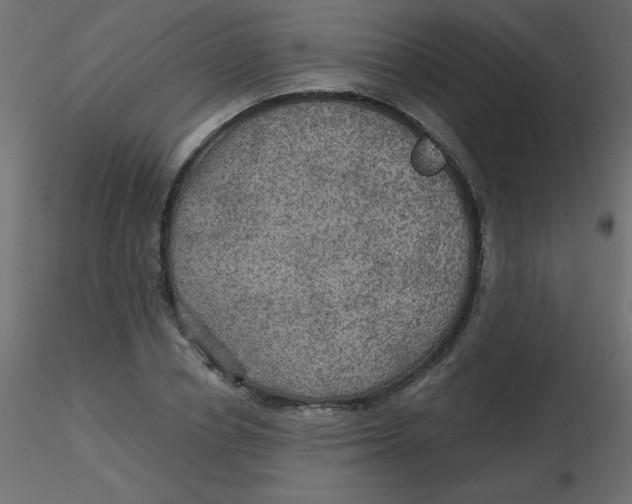 X0000116590834200912312034