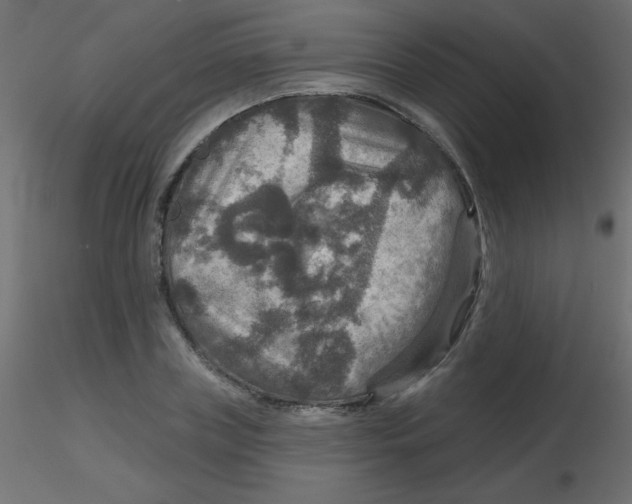 X0000116590835200912312034