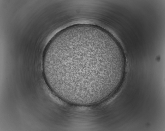 X0000116590837200912312034