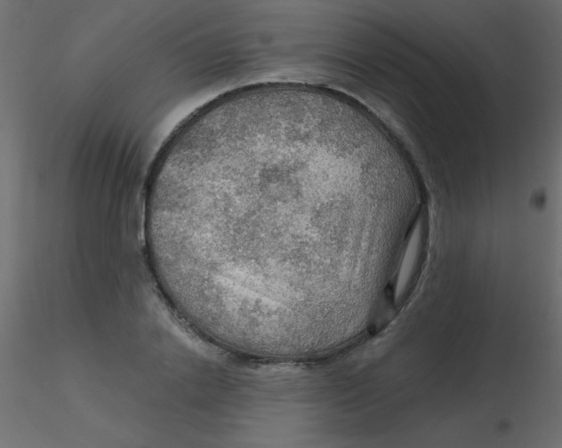 X0000116590838200912312034