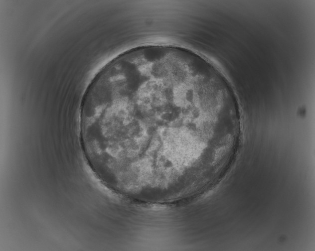 X0000116590839200912312034