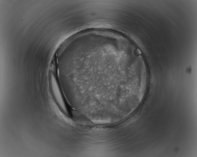 X0000116590840200912312034