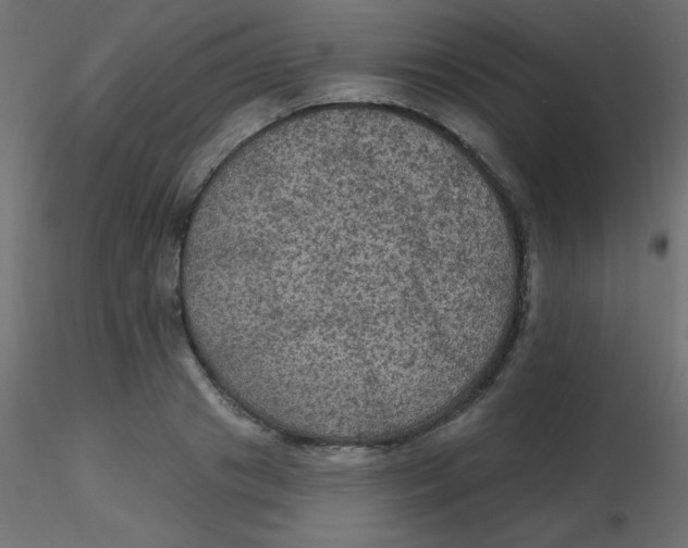 X0000116590841200912312034