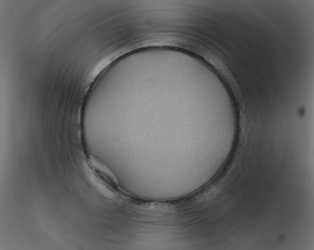 X0000116590842200912312034