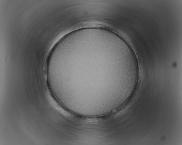 X0000116590843200912312034