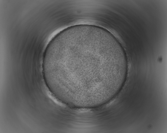 X0000116590846200912312034