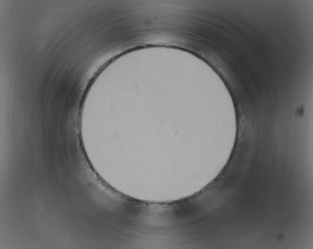 X0000116590848200912312034