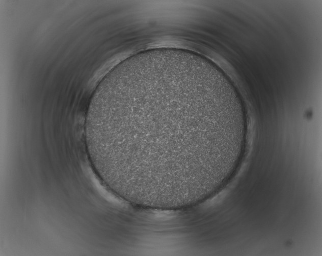 X0000116590849200912312034