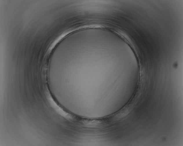 X0000116590851200912312034