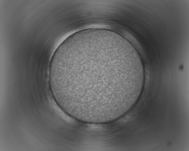 X0000116590852200912312034