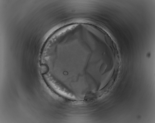 X0000116590853200912312034