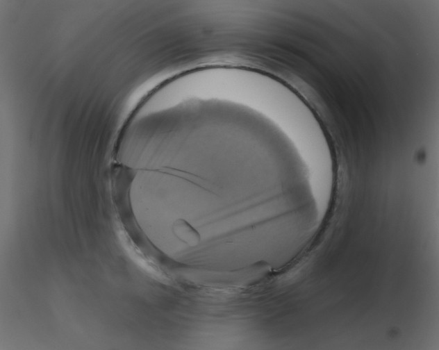 X0000116590854200912312034