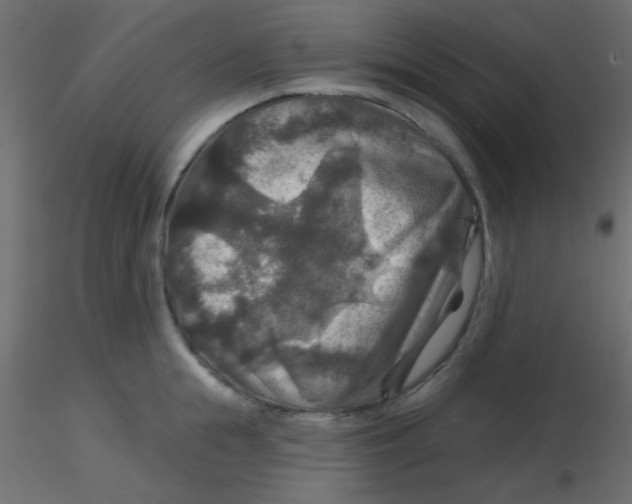 X0000116590855200912312034