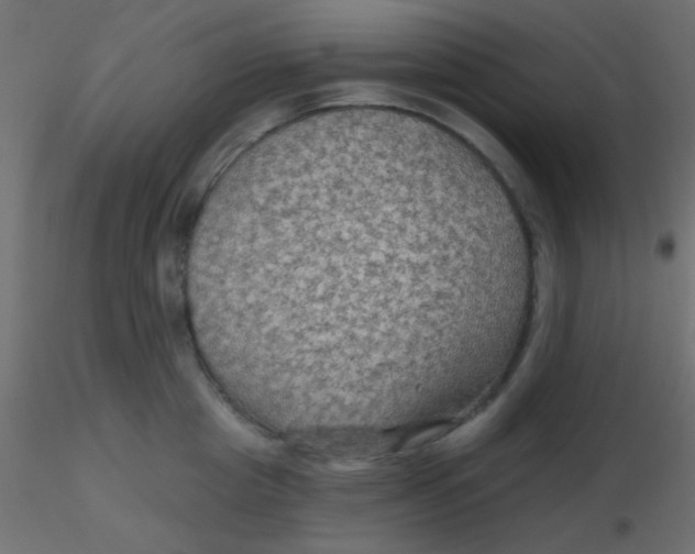 X0000116590857200912312034