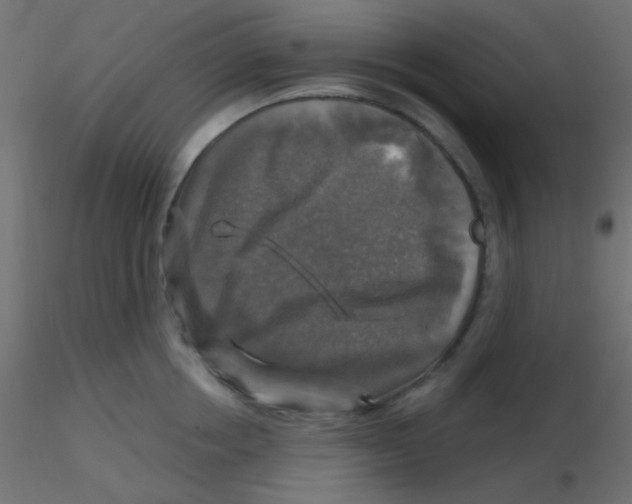 X0000116590858200912312034