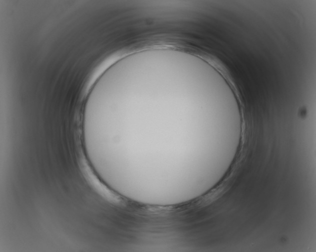 X0000116590859200912312034