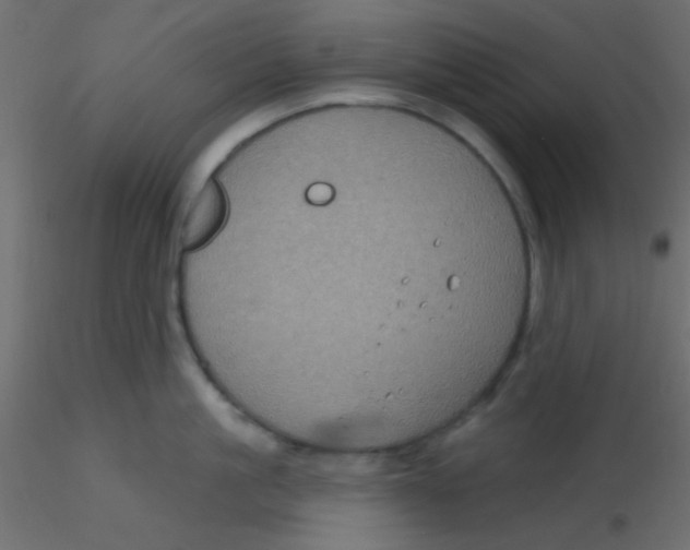 X0000116590861200912312034