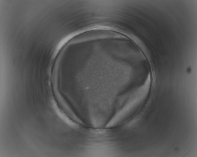 X0000116590862200912312035