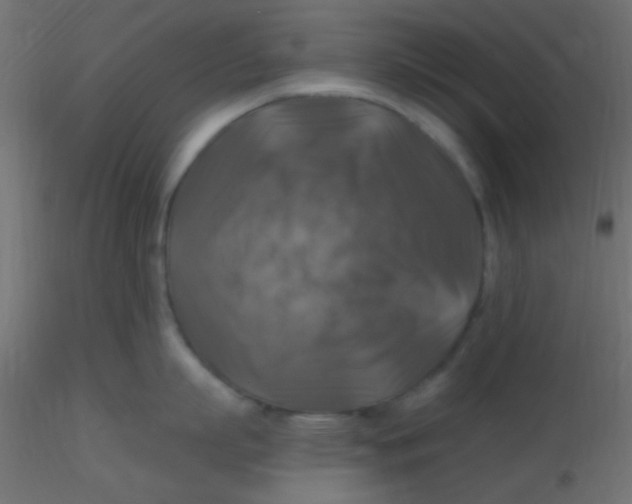 X0000116590863200912312035