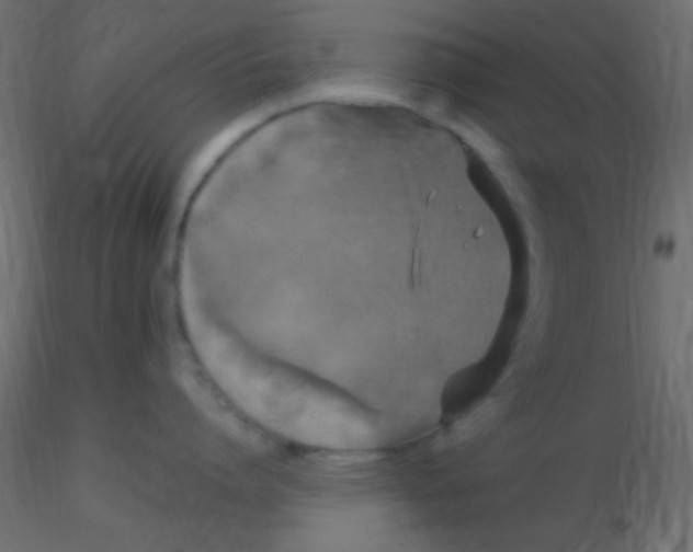 X0000116590864200912312035