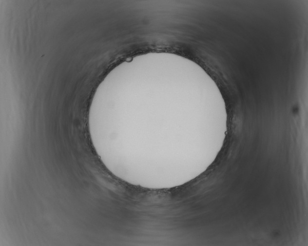 X0000116590865200912312034