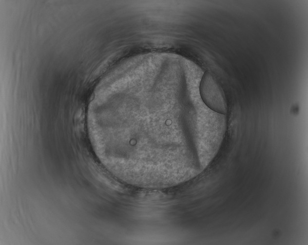 X0000116590866200912312034