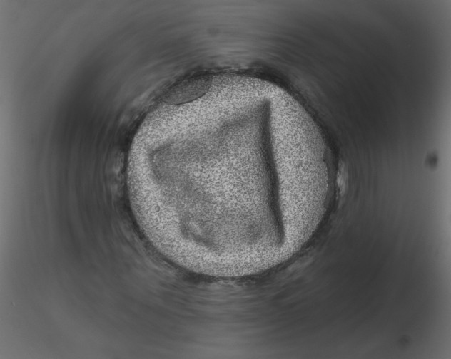 X0000116590867200912312034